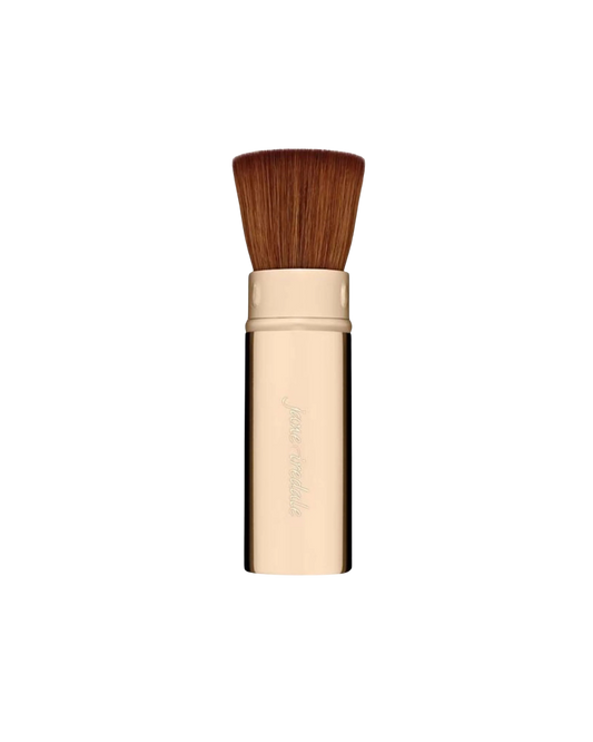 Retractable Handi Brush